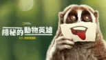 thumbnail - 隱秘的動物英雄